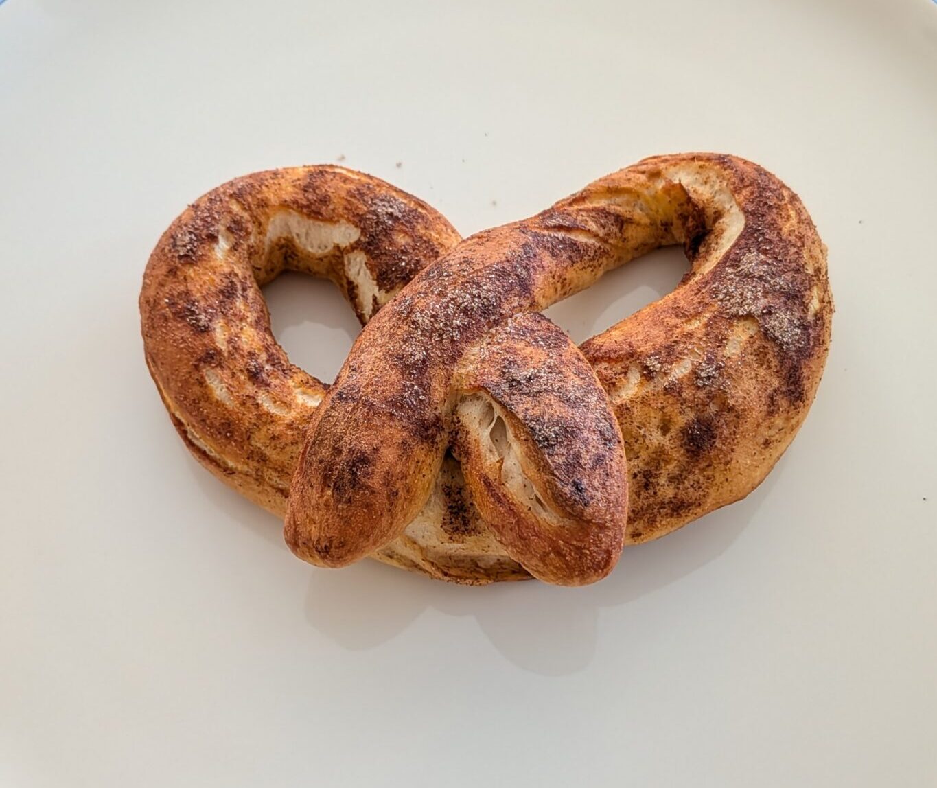 Cinnamon pretzel
